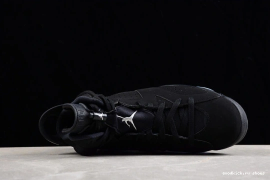 Jordan Retro DX2836-001 6 DX2836-001 Silver Metallic 0306